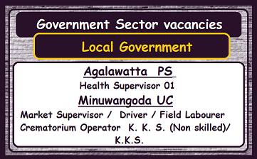 Vacancies - Local Government