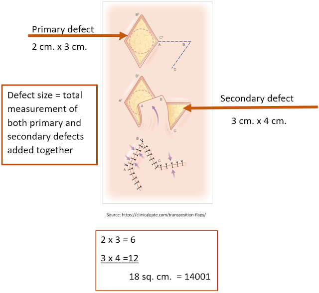 OHIMA Blog Coding for Adjacent Tissue Transfers