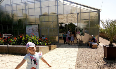 Большая коллекция кактусов в оранжереи в Болгарии