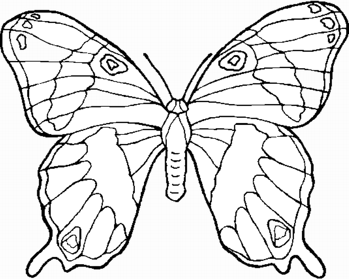 Tranh tô màu con bướm vẽ có phân mảng đơn giản