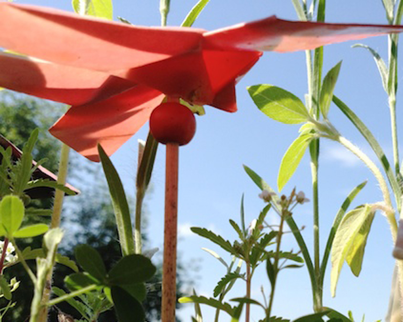Mein Leben Ist Eine Leinwand Jeden Tag Kommt Ein Neuer