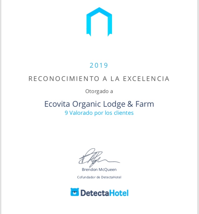 Reconocimiento 2019