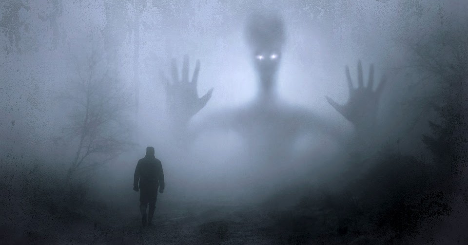Mothman Flutterings Gory Disturbing Dream After Reading About Winged