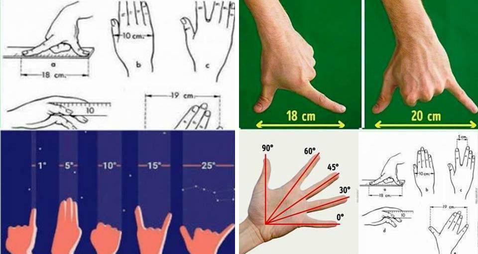 Measure Everything Only With Your Hands