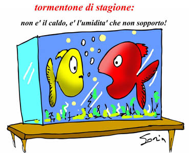 Immagini Divertenti Sul Caldo Afoso