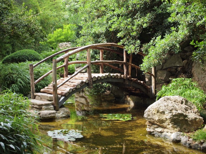 Austin Summer Fun Visit The Zilker Botanical Garden