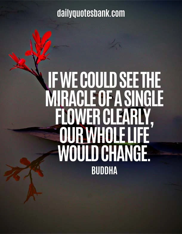 Famous Quotes About Miracle Of Life