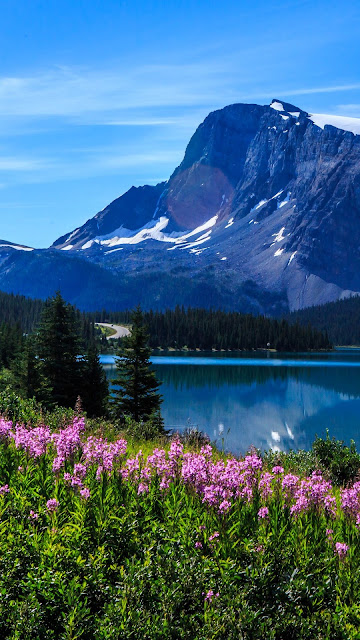Landscape, nature, mountains, lake, flowers, trees Landscape, nature, mountains, lake, flowers, trees