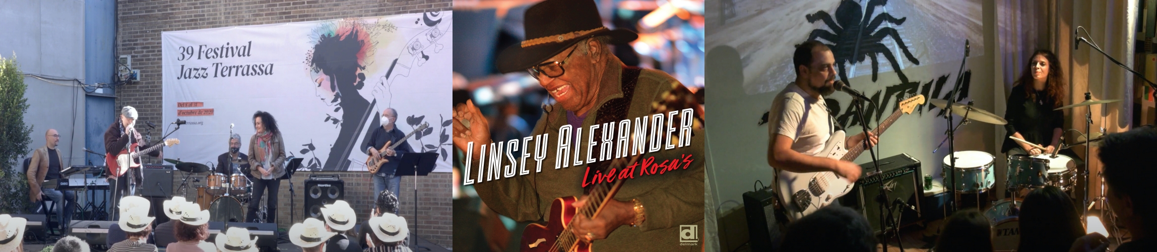 van de Blues RED HOT BLUES Blues Radio Show 1103 5 November 2020