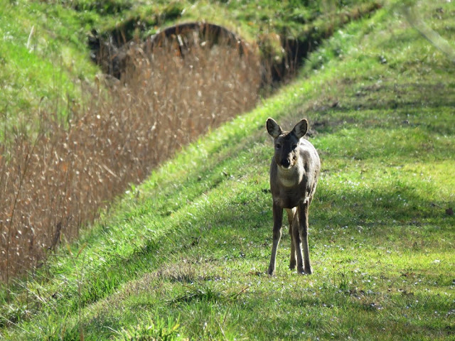 percorso valle vecchia brussa