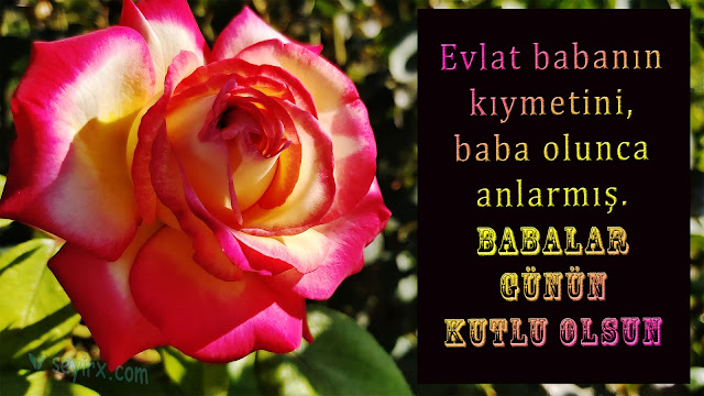 Babalar günü