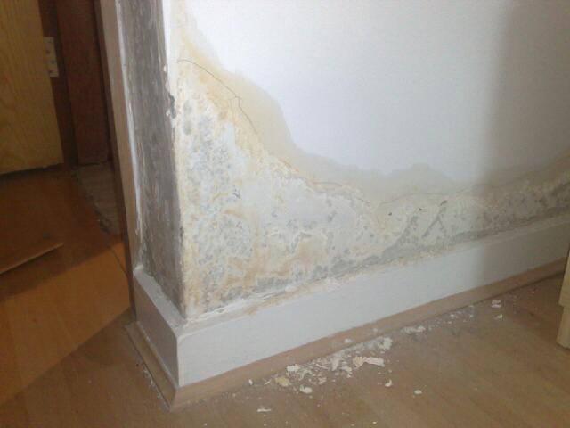 Eco Home Centre Blog Damp Internal Walls