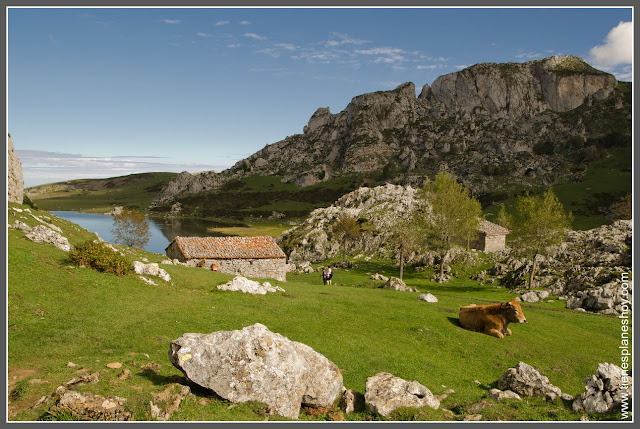 Lagos de Covadonga: Lago Ercina