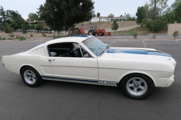 1965 Ford Mustang Gt350 Tribute Buy American Muscle Car
