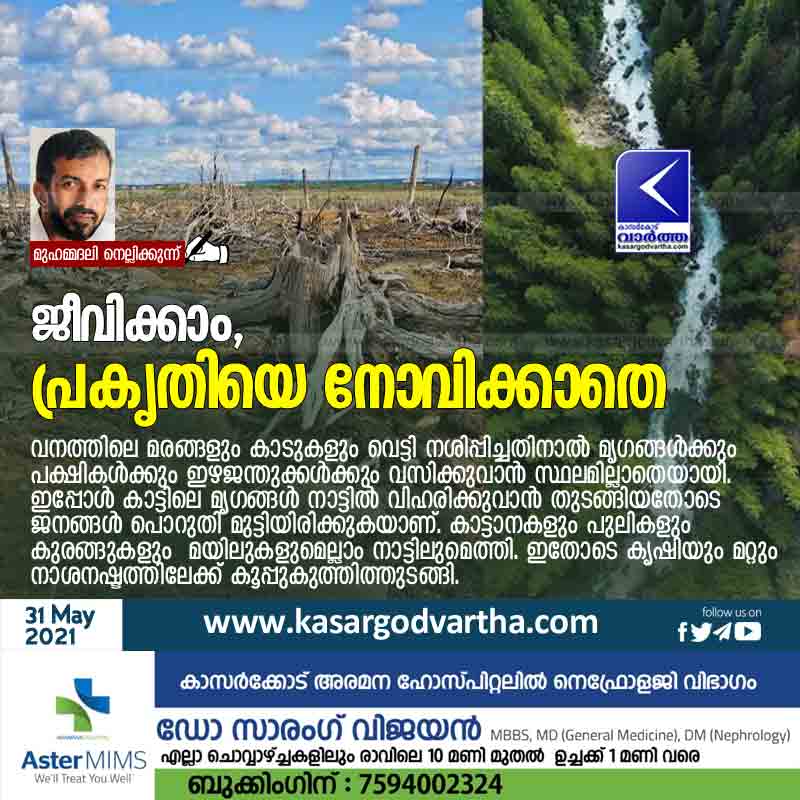 Article, Forest, Fruits, World, Kerala, Science, Animal, Birds, Vehicles, Let's live, without hurting nature.