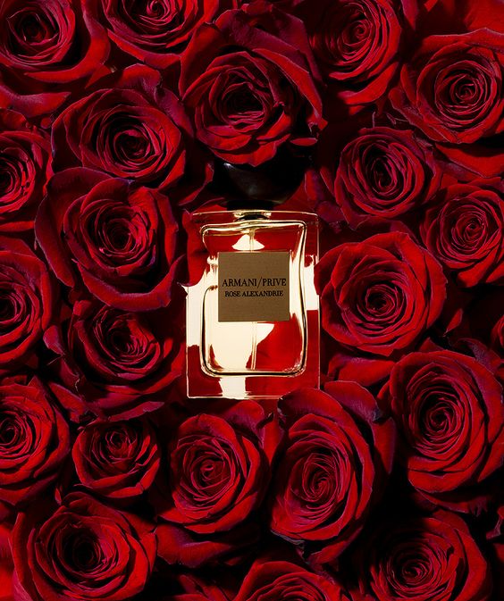 armani prive rose alexandrie review
