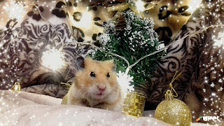 Neujahrskarte im Jahr der Maus und Ratten mit Ihren eigenen Händen 2024. Kostenlose, schöne Live-Weihnachtskarten im Jahr der Maus
