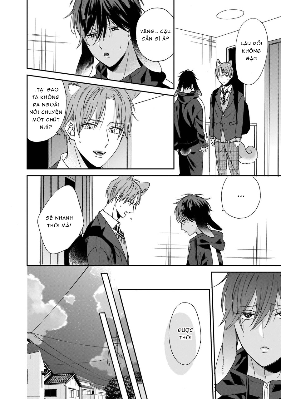 Đọc truyện Ookami-kun sẽ không buông tay! - Chapter 3