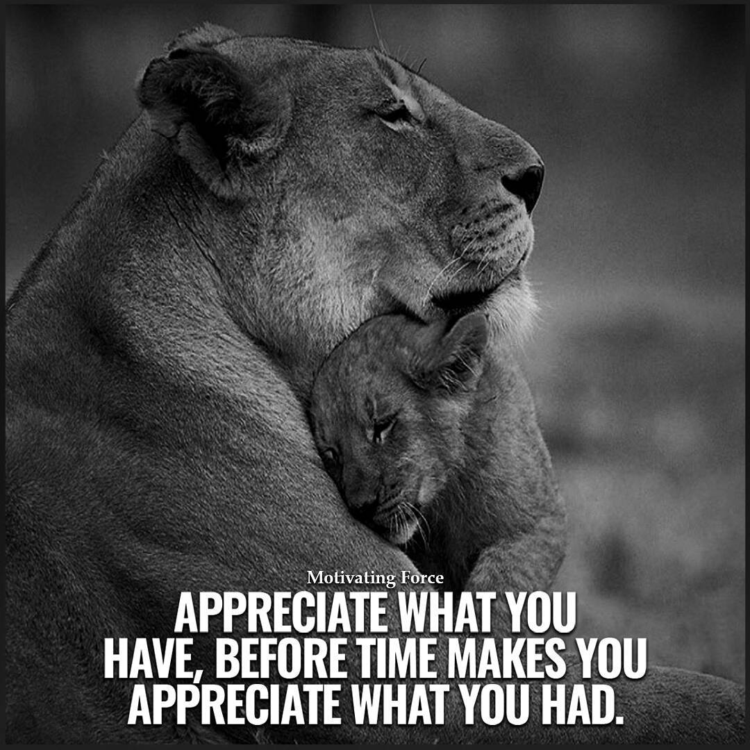 обои на рабочий стол i can do it. Before your time. Before your time. Fall down seven times, get up eight. обои на рабочий стол цитаты.