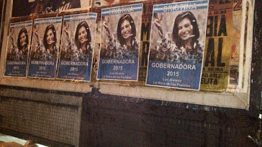 CRISTINA GOBERNADORA ??? USTEDES QUE OPINAN ???