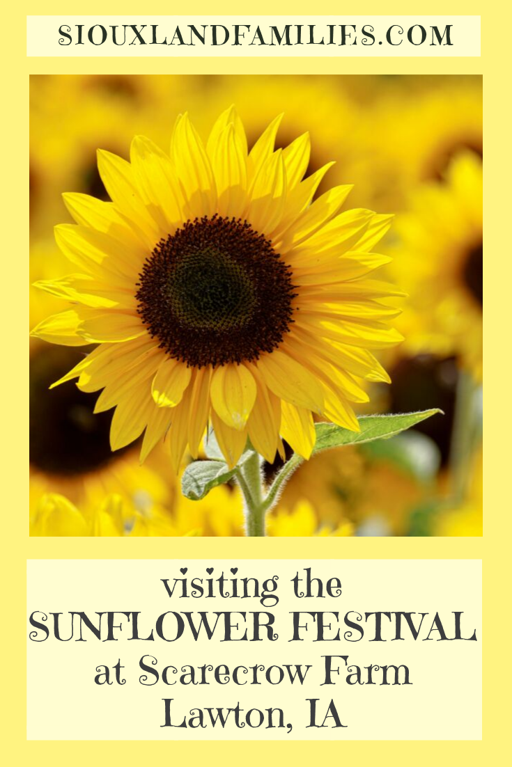 Siouxland Sunflower Festival