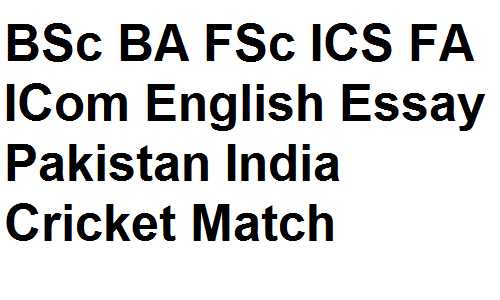essay on a cricket match between pakistan and india
