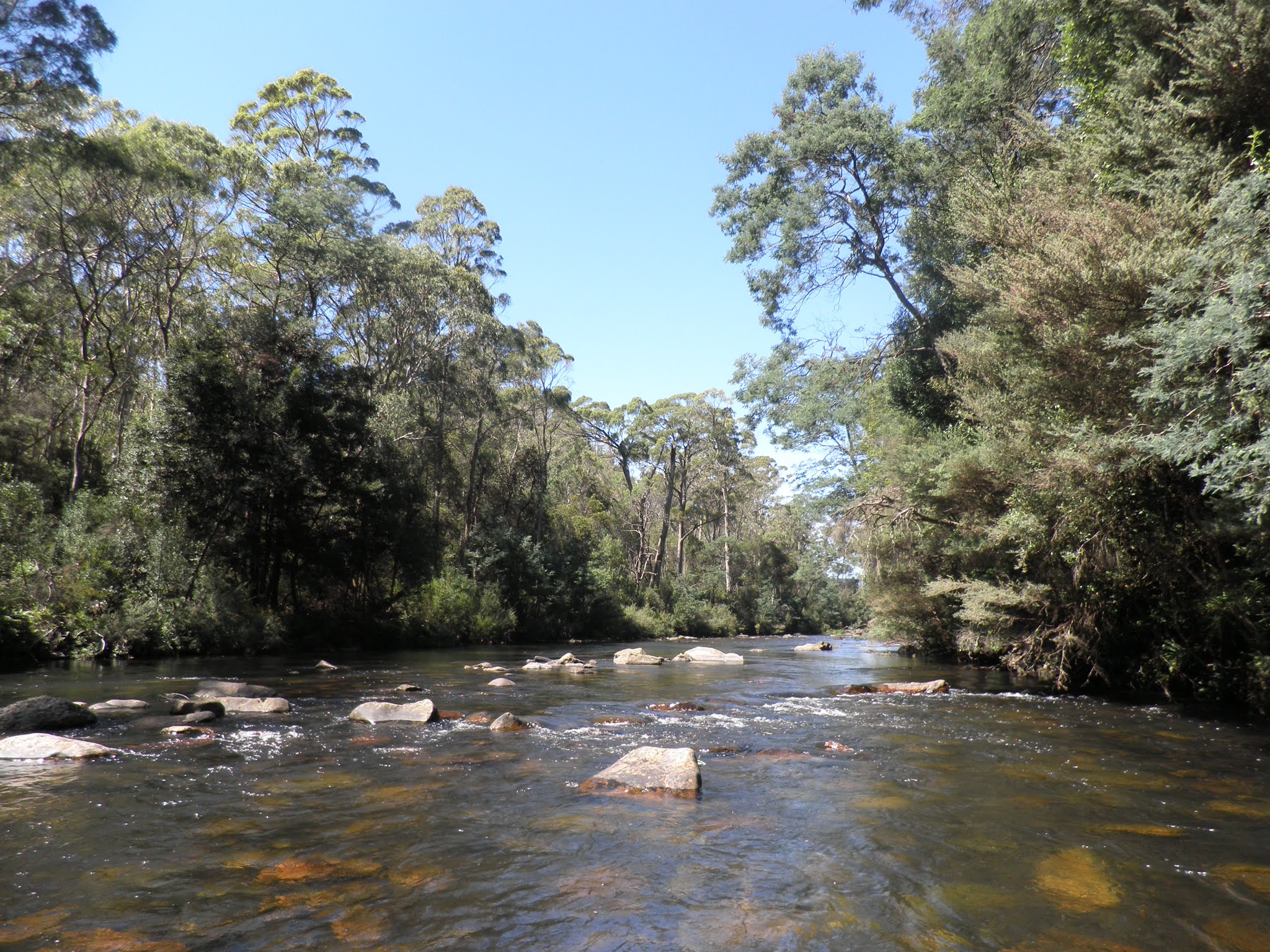 Meander River, Tasmania