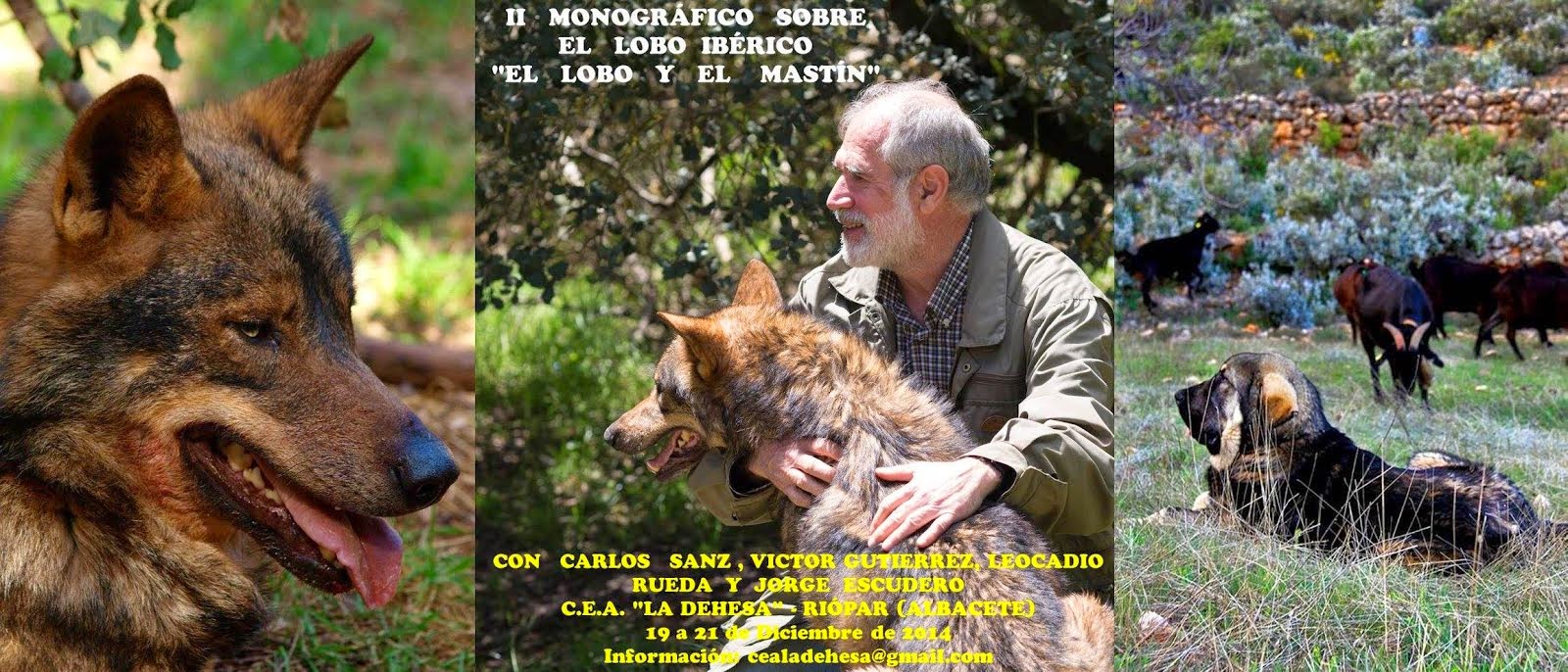 II Monográfico sobre el lobo ibérico.