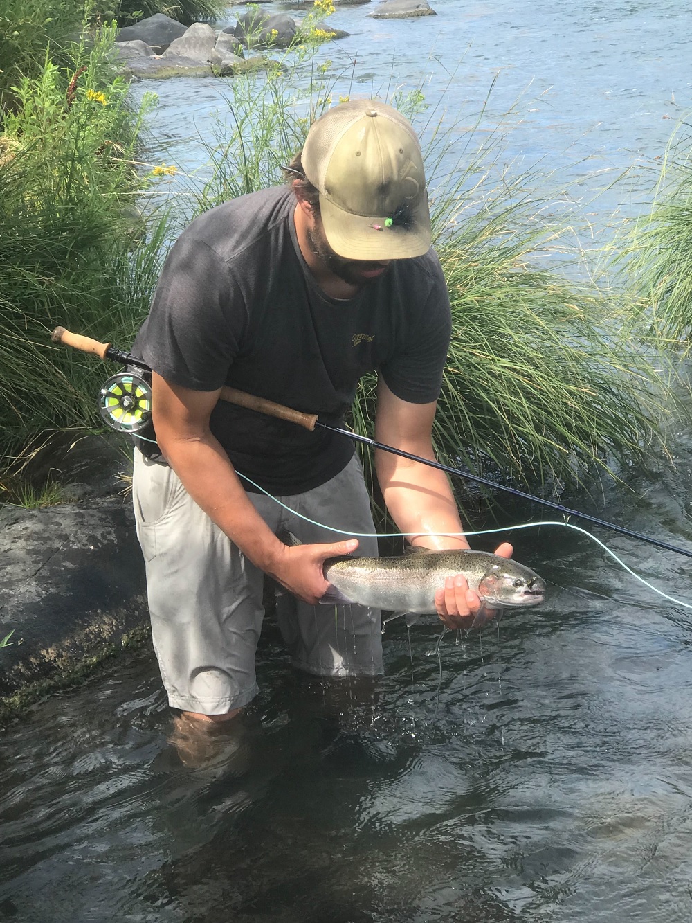 best switch rods 2019