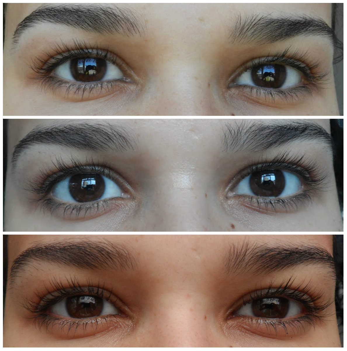 Oleo De Ricino Sobrancelha Antes E Depois