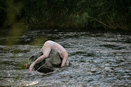 "Wasser Stücke" 2009