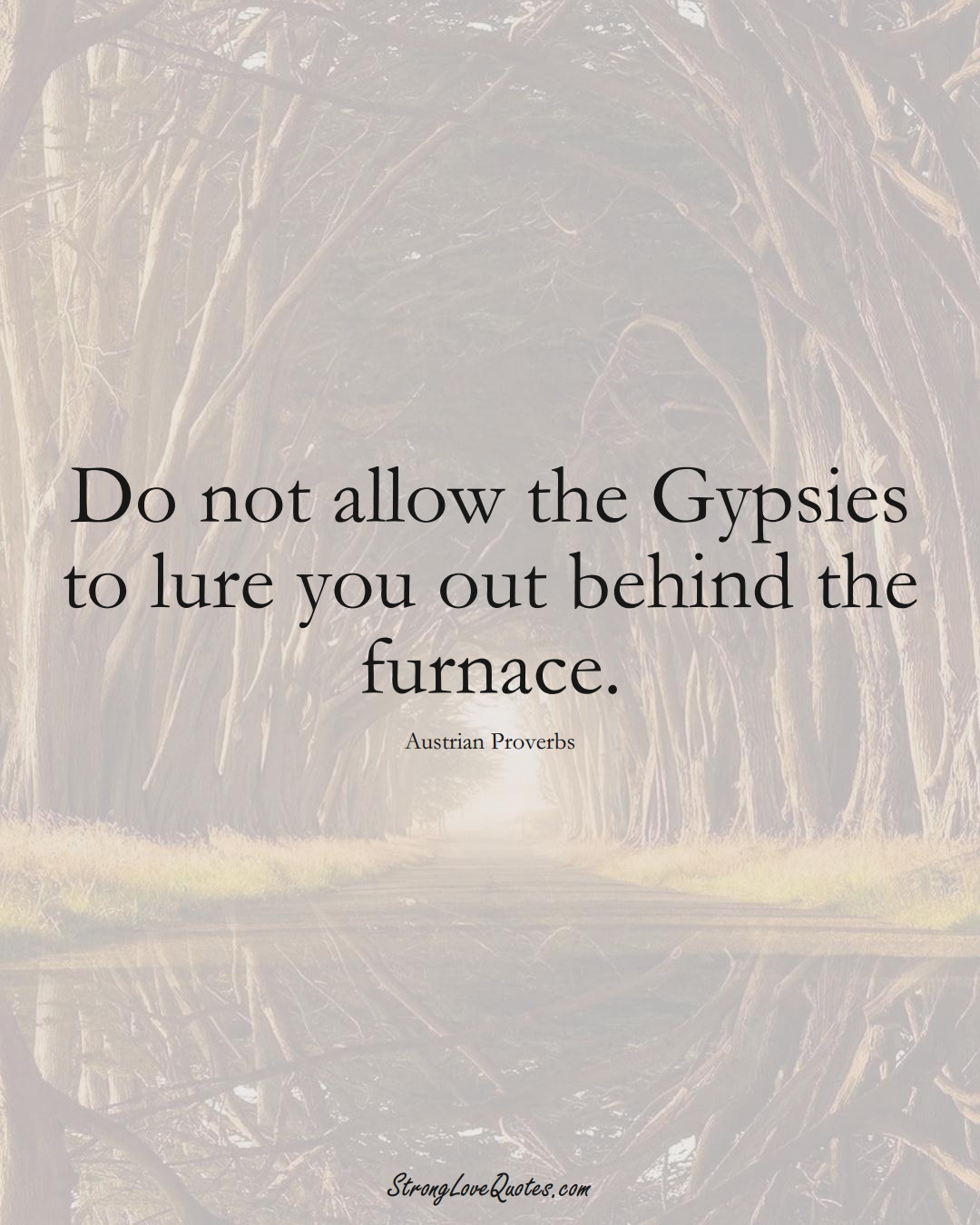 Do not allow the Gypsies to lure you out behind the furnace. (Austrian Sayings);  #EuropeanSayings