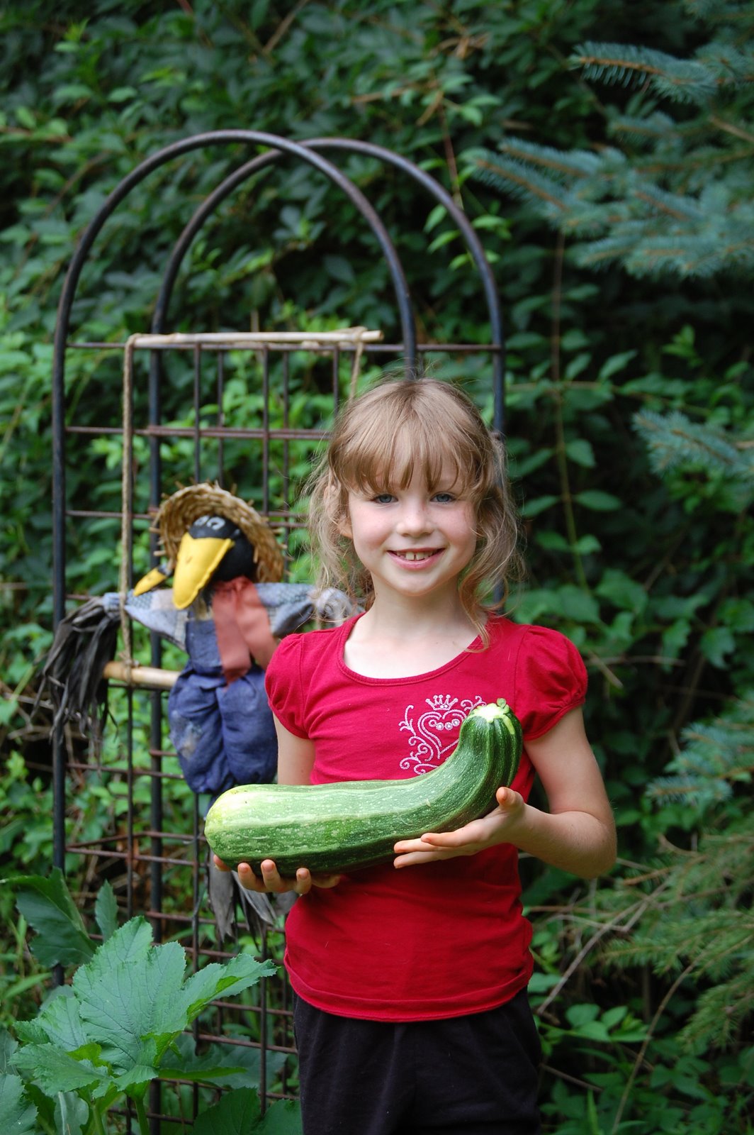 Sprouts Southern Maine