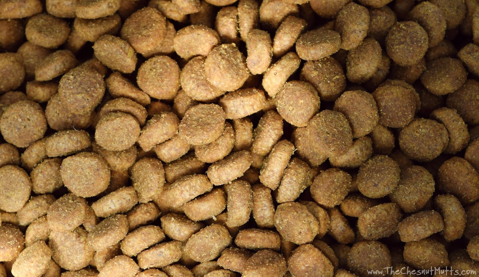 Review & Giveaway Improve Your Dog's Kibble with Brothers Complete The Chesnut Mutts