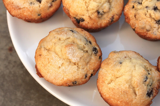 panettone muffins