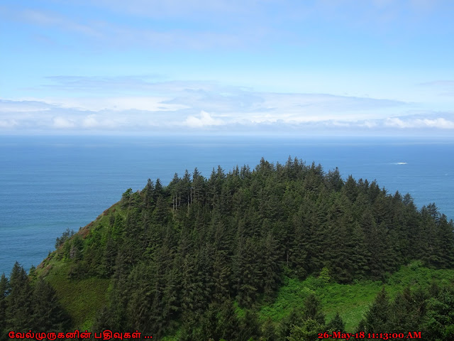 Oswald West State Park Pacific Ocean View