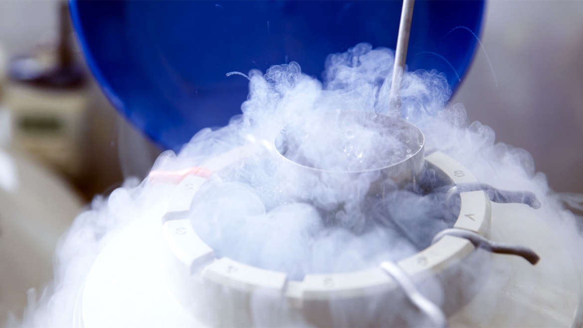 Life IVF Center Elective egg freezing It's your choice!