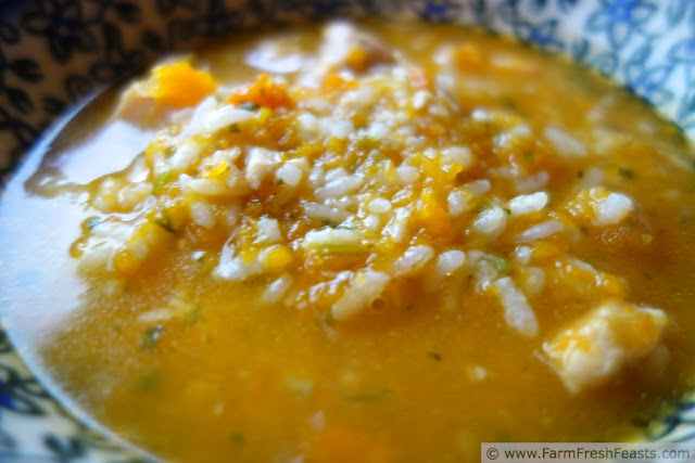 Stupefyingly Simple Chicken, Rice, and Butternut Squash Soup