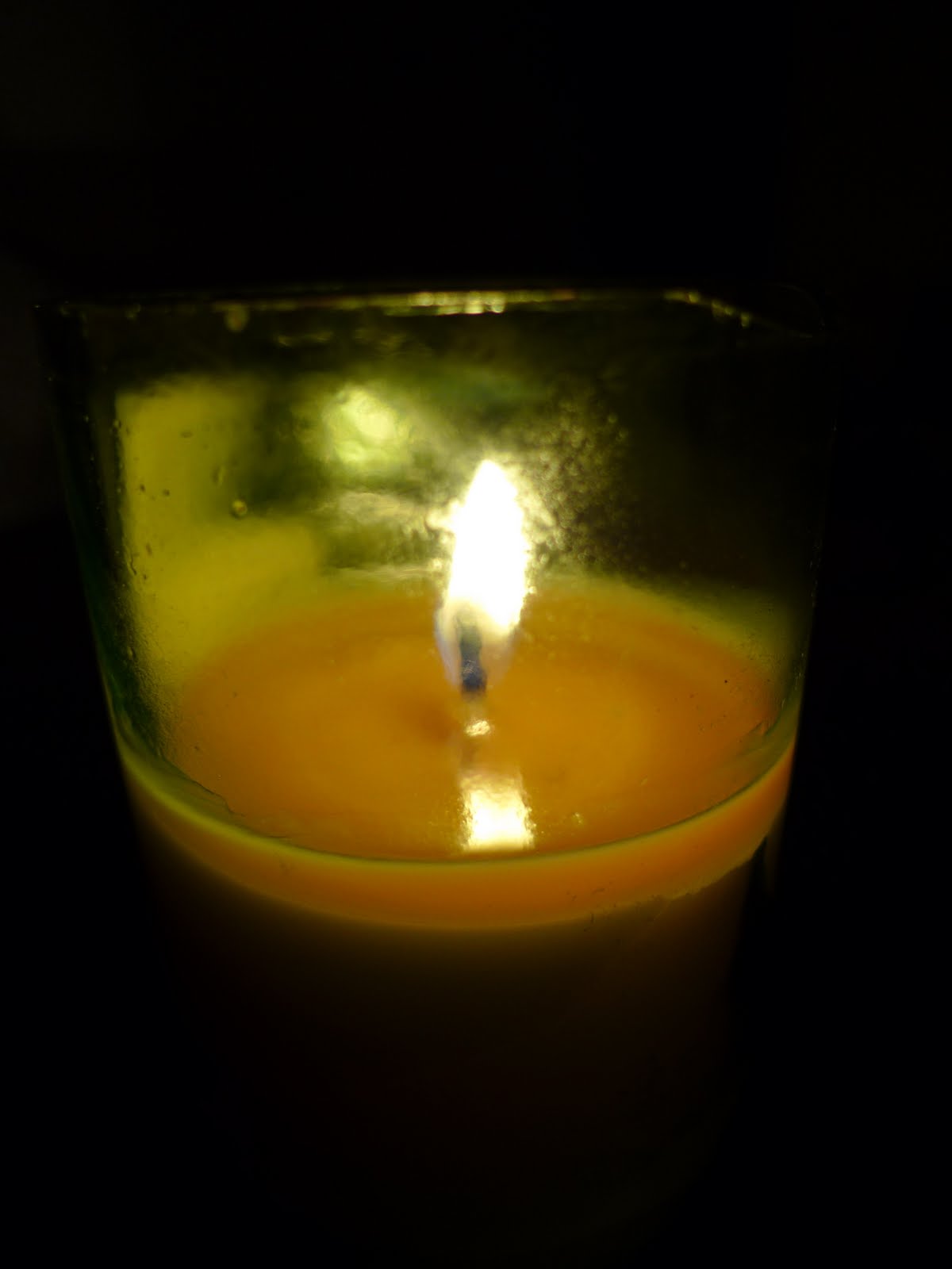 Winter Foliage Burning the candle at both ends.