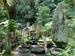 ���{���F�ꔦ����