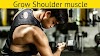 How to grow Shoulder? 
