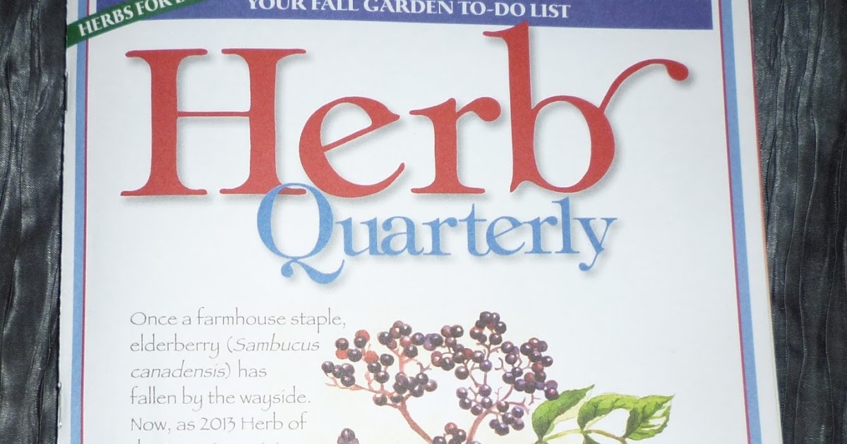 From Nancy's House Using herbs and vegetables in homemade 'beauty