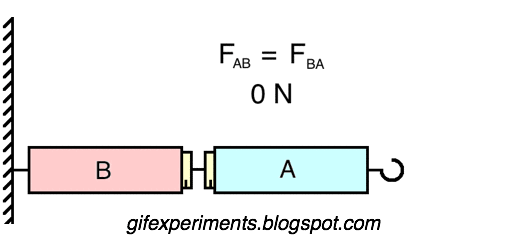 Newton's 3rd Law (Action-Reaction)