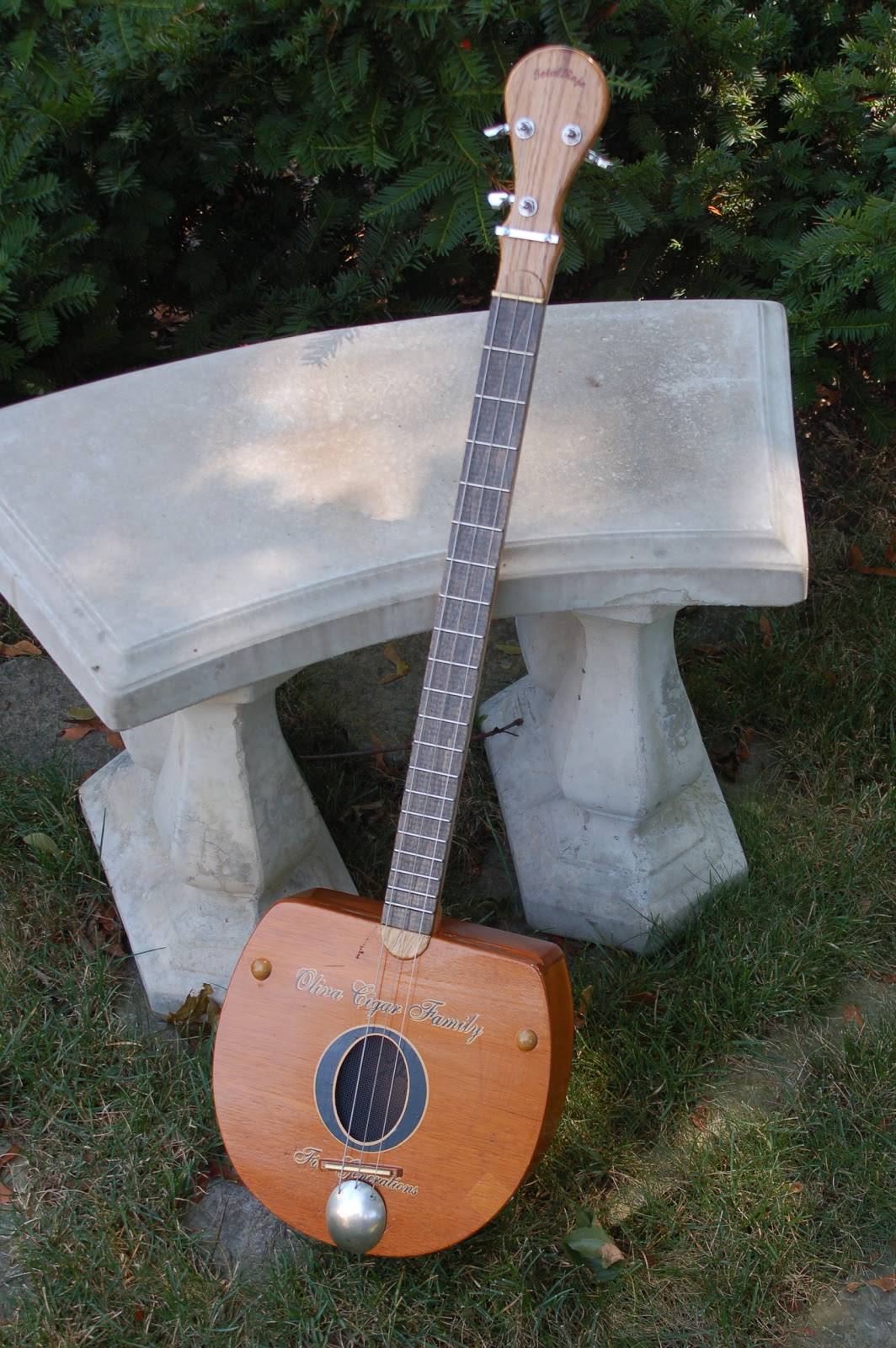 TotalRojo Guitars Jimmy V's 'Pantie Dropper'