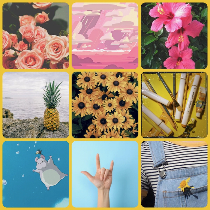 Chicken Blog: Aesthetic Boards