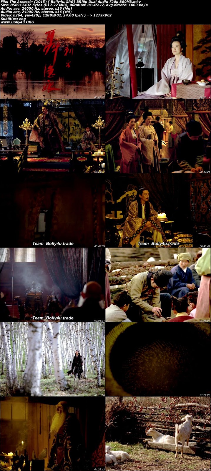 The Assassin 2015 BRRip 300Mb Hindi Dual Audio 480p Download The Assassin 2015 BRRip 300Mb Hindi Dual Audio 480p Download