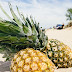 Maruthuva kurippu in tamil : Patti vaithiyam in tamil pineapple magathuvam