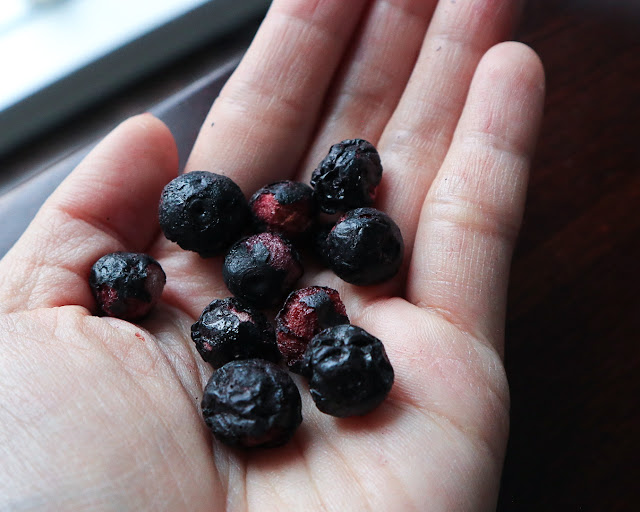 freeze dried blueberries on a hand near a window.