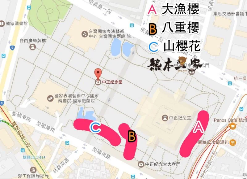 中正紀念堂櫻花花況3月28日拍攝|中正紀念堂賞櫻地圖|原生櫻花區-大漁櫻-山櫻花-重瓣緋寒櫻
