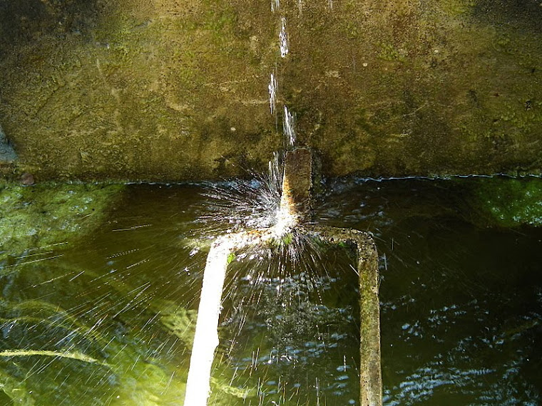 Fontaine Buoux